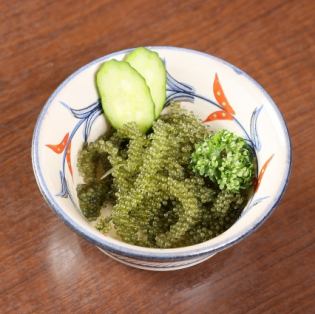 【4月～10月まで】生海ぶどう