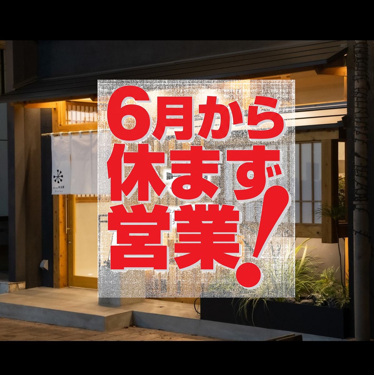 落ち着いた雰囲気の店内でゆっくり食事を楽しむ鉄板料理の数々