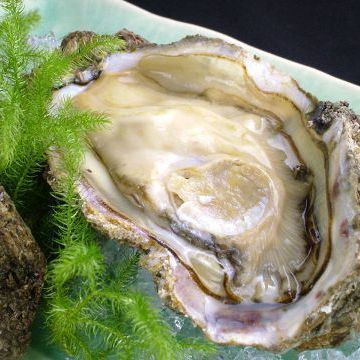 Raw oyster ponzu