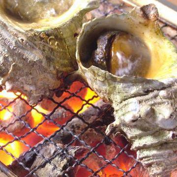 Turban shell grilled / Kisu salt grilled / Grilled clams