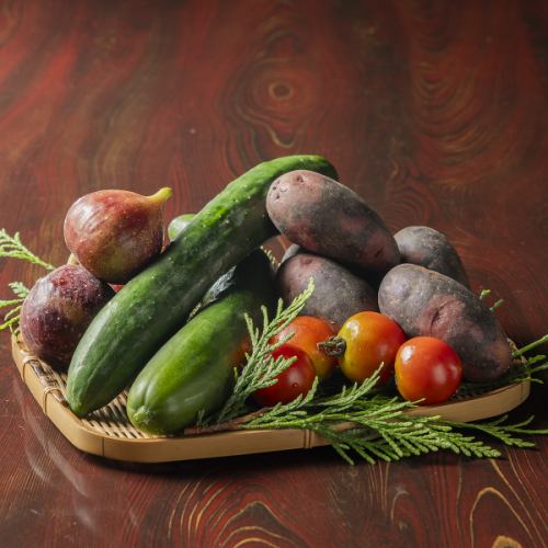 地域特産の野菜をピックアップした料理の数々
