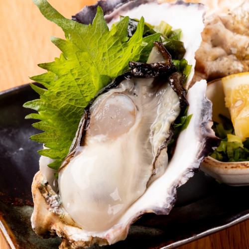 다양한 굴 메뉴