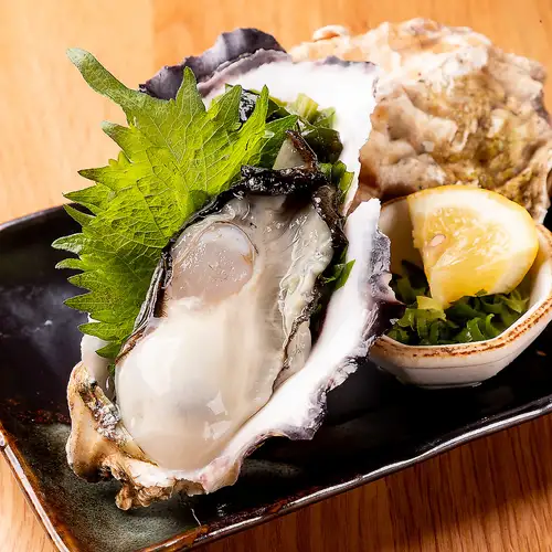 Raw oysters from Miyagi Prefecture