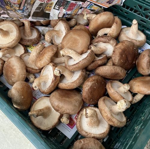 地元農家の朝採れ野菜♪