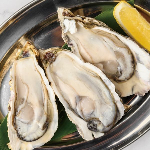 新鮮な生牡蠣をご用してます！海鮮メニューも豊富な品揃え！お刺身・お寿司・巻き物などなど