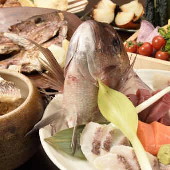 ☆★Kochi Prefecture Naoshichi Red Sea Bream Course★☆ 7 dishes only 3850 yen (tax included)