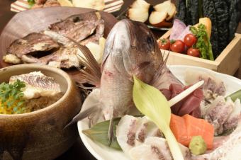 ☆★Kochi Prefecture Naoshichi Red Sea Bream Course★☆ 7 dishes only 3850 yen (tax included)