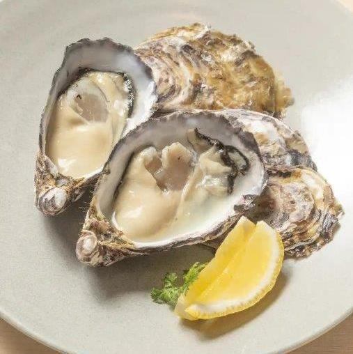 毎日新鮮な牡蠣を取り寄せております！ぜひご賞味あれ。
