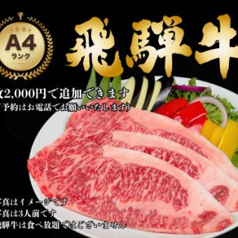 飛騨牛コース