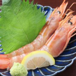 赤海老の刺身(2尾)