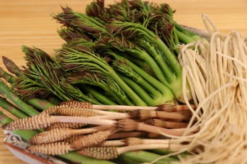 ●계절마다의 신슈 고원 야채나 산채 ●