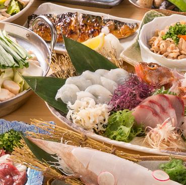 【海の宝石】博多地魚のお造り!朝獲れの鮮度とプリプリの食感に感動◎