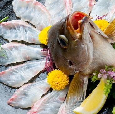 朝獲れ鮮魚を堪能できる店