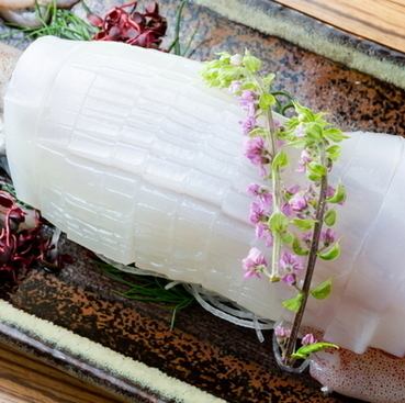 鮮度抜群！博多湾の恵みを直送&プリプリ地魚に舌鼓◎