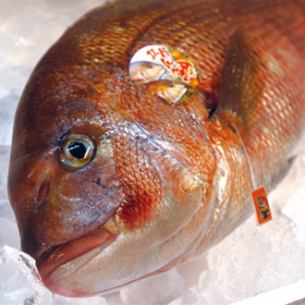 橘子鯛魚刺身