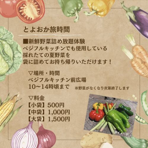 こんばんは！
ベジフルキッチン🥗と
とよおか旅時間🚲では
8月３１日の「野菜の日」に合わせて、コラボ企画【野菜の日フェア】を開催いたします🚩

✳︎------------------------------------
■フェア期間：8/29(木)、29(金)、31(土)
------------------------------------✳︎

🥗ベジフルキッチン
◾️野菜たっぷり特別メニュー
いつも以上に野菜尽くしの内容ですのでお楽しみに！
▽営業時間
11:00~16:00(14:30LO)

ご予約はお電話かWebにて可能です。
※8/27(火)・28(水)はお休みのため、
とよおか旅時間のお電話（☎︎0265-49-3395）に
おかけください。

🚲とよおか旅時間
◾️新鮮野菜の詰め放題体験
ベジフルキッチンでも使用している
村内農家さんから仕入れた野菜をご用意します！
▽場所・時間
ベジフルキッチン前広場　10:00~14:00頃まで
※野菜がなくなり次第終了いたします。

食事と体験どちらもご利用いただくお客様には
レシート提示で１会計200円引きのサービスもさせていただきます✨
豊丘村民の皆様は、ベジフルキッチンのVIPカードも併用可能です！

たくさんのお客様に野菜の日を楽しんでいただけたら幸いです❣️
今週は台風の接近で天気が不安定になるため、
お足元には十分お気をつけてお越しください☂️🌈

++++++++++++++++++++++++ 
一般社団法人豊丘村観光協会 とよおか旅時間
〒399-3202 長野県下伊那郡豊丘村神稲12407
☎︎0265-49-3395

菜園ビュッフェレストラン
VEGE-FULL KITCHEN【ベジフルキッチン】
@道の駅南信州とよおかマルシェ内
☎︎0265-48-8063

公式HP URL
https://www.vill-nagano-toyooka-kanko.jp
++++++++++++++++++++++++

#ベジフルキッチン #vegefullkitchen
#ビュッフェ #レストラン #菜園ビュッフェ
#とよおか旅時間 
#とよおかマルシェ #南信州とよおかマルシェ #道の駅
#コラボ企画#野菜の日#野菜の日フェア