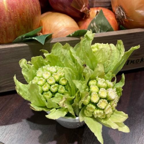 【山菜・春メニュー】
こんにちは！
ベジフルキッチンです🥦

今日から新年度✨
まだ寒い日も続きますが
豊丘村の桜も次第に開花してきました🌸
場所によっては間もなく見ごろを迎えます❣️

是非お食事と合わせて桜めぐりもしてみてください♪
最新の開花状況は
とよおか旅時間
@toyooka_tabijikan 
のHPに掲載されています🌸

🟢山菜も少しずつ入荷🌱🌿
※ご用意がない日もございます。

■ふきのとう
👩‍🌾壬生さん
塩炒め、天ぷら、ふきんと味噌、タルタルソースなど、
色々なお料理に💚
ほろ苦い春の味覚です！
花が咲いたものはディスプレイにも使用しました。

■うこぎ（おこぎ）
👨‍🌾唐沢さん
混ぜご飯やおひたしにしています🌱
「おこぎ」南信地方特有の呼び名です。

■うど
🧑‍🌾田島さん
きんぴらでご提供しています。
香り高くシャキシャキとした食感が特徴。
日に当たらないよう丁寧に栽培されており
調理前の状態は真っ白🤍

■のびる（ののひる）
👨‍🌾唐沢さん
さっと湯通ししてからし酢味噌と和えています。
（素材の写真のみ）
ピリッとした辛さがおいしいです😋

他にも、
林さんのかき菜、
宮下さんのアスパラ、
壬生さんの葉つきニンジン
こぶし園から仕入れたプチヴェールなど🥕🥬

Bread&Sweetsきららさんからは、
🌸さくらの塩漬けパン
🌿よもぎパン　を焼きたてで仕入れています！

旬の食材をたっぷり使用した
春らしいメニューが揃っています！
みなさまのご来店、心よりお待ちしております🥗

✼••┈┈••✼••┈┈••✼••┈┈••✼••┈┈••✼ 
ベジフルキッチンは
 豊丘村の新鮮な野菜や果物が 
たっぷり取れるビュッフェスタイルの 
菜園ビュッフェレストラン 
﹍ ﹍ ﹍ ﹍ ﹍ ﹍ ﹍ ﹍ ﹍ 
ベジフルキッチン VEGE-FULL KITCHEN 
﹉ ﹉ ﹉ ﹉ ﹉ ﹉ ﹉ ﹉ ﹉ 
@道の駅南信州とよおかマルシェ 
長野県下伊那郡豊丘村神稲12410 
☎️0265-48-8063

#ベジフルキッチン
#vegefullkitchen
#菜園ビュッフェ
#ビュッフェ #レストラン
#野菜たっぷり #野菜ビュッフェ
#おなかも心も満たされる
 #とよおか旅時間#とよおかマルシェ
 #南信州とよおかマルシェ #道の駅 #道の駅レストラン 
#豊丘村 #飯田市 #下伊那
#春#旬#山菜#ふきのとう#おこぎ#うど#ののひる#かき菜#アスパラ#にんじん#プチヴェール#桜の塩漬けパン#よもぎパン