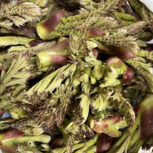 [五月業務日曆]

您好！
這是一個蔬菜齊全的廚房🥗

豐岡村的櫻花幾乎都完成了，
現在桃花盛開🌸
粉色係對櫻花來說有著不一樣的魅力！

豐岡村終於開始採竹筍了🎋
我們很快就會在 Vegeful Kitchen 提供此產品。
敬請期待🐼

------------------
📣五一假期公告
・每週二
・每月第二、第四個星期三
*黃金週期間詳情請見下方⚠️

假日期間，請致電Vegeful Kitchen。
即使您聯絡我們進行預訂或諮詢，
請諒解我們無法滿足您的要求。 

透過 Hot Pepper Gourmet 線上預訂，
或管理處的“豐岡旅行時間”
(📞0265-49-3395)
請聯絡我們。 
------------------

🟡關於黃金周營業時間
⚠️我們將更改常規休息日以配合公共假期！
4/26(週日)～4/29(週二) 黃金周前半段
4/30（週三）、5/1（週四）休息
5/2(週五)～5/6(週二) 黃金週後半段營業日
5/7（週三）黃金週後休息

這是一個不定期的時間表，因此
我希望你能理解🙇

📸背景照片介紹
👩‍🌾Miyato 的鱈魚芽

這種野菜是由五加科樹木的新芽製成的。
它味道鮮美，可用於多種菜餚。
由於其營養豐富
被稱為“野菜之王”

它是春季必備的蔬菜，但收成相當辛苦。
樹幹上有非常鋒利的刺。
另外，度母樹的高度約為1.5至3公尺。
最高的可達4米。
它也生長在山坡上。
如果你用剪刀剪開它，
因為新芽不會長出來，
你需要用手拉動樹枝並採摘它們。

當我了解到農民的艱辛時，
是不是感覺更加珍貴了呢？
請享受春天的味道。

我們期待您的光臨🥗

✼••┈••✼••┈┈••┈•✼••┈┈••✼••┈┈••✼••┈┈••✼
蔬菜齊全的廚房
豐岡村的新鮮蔬菜和水果
自助餐樣式豐富
菜園自助餐廳
﹍﹍﹍﹍﹍﹍﹍﹍﹍
蔬菜齊全的廚房
﹉﹉﹉﹉﹉﹉﹉﹉﹉
@道之站南新州豐岡Marche
長野縣下伊那郡豐岡村上根12410
☎️0265-48-8063

#蔬菜廚房
#vegefullkitchen
#菜園自助餐
#自助餐#餐廳
#很多蔬菜#蔬菜自助餐
#豐岡旅行時間#豐岡馬爾凱
#南新州豐岡Marche #道之站 #道之站餐廳
#豐岡村#飯田市#下伊那
#春天 #桃花 #五月 #黃金週 #GW 工作日 #野菜 #塔拉芽 #野菜之王