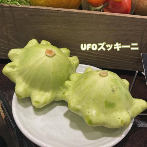【7月営業カレンダー】

こんにちは！
ベジフルキッチンです🍒

------------------
  📣7月お休みのお知らせ
・毎週火曜日
・第2・4水曜日

お休み中、ベジフルキッチンのお電話へ
ご予約や問い合わせのご連絡をいただいても
対応出来かねますことご了承くださいませ。

ホットペッパーグルメからのWeb予約、
または運営事務局の”とよおか旅時間”
（📞0265-49-3395）へ
ご連絡をお願いいたします。
------------------

■7月中のバス団体様のご予約状況
7/2(水)　12:30　52名様（仮）
7/4(金)　11:00　20名様（仮）
※バス団体様に限っては半年前からの予約問い合わせもあったため、5/31までのルールで12:30のご予約時間で受付をしています。
ご理解いただけますようお願い申し上げます。

📸背景写真のご紹介
唐沢さんのズッキーニ👩‍🌾

キュウリに似た見た目ですが、
実はカボチャの仲間のズッキーニ。
実は日本で流通するようになったのは
1980年頃で比較的新しい野菜です🌱

開花後、1週間程度の未熟な実を食べます。
イタリアではズッキーニの花も食べる習慣があり、
チーズやお肉を詰めて料理するそうです🌼

体内の水分調整をするカリウムを豊富に含み、
むくみ解消に効果があります💧
また、カロテンも多く、油と一緒に食べることで
吸収率がアップするため
オリーブオイルで炒めて食べるのもおすすめです♪

緑、黄色の基本2色で、
形は棒状のものや丸いもの、
円盤型のUFOズッキーニと呼ばれるものもあります🤔

梅雨とは思えないほどの暑さが続き、
熱中症にも警戒が必要ですね💦
夏野菜は水分やカリウムを豊富に含み、
熱中症対策に最適な食べ物です！

ぜひ体の調子を整えに
ベジフルキッチンへ食事にいらしてください🥗

みなさまのご来店、心よりお待ちしております！

 ✼••┈┈••✼••┈┈••✼••┈┈••✼••┈┈••✼ 
ベジフルキッチンは
 豊丘村の新鮮な野菜や果物が 
たっぷり取れるビュッフェスタイルの 
菜園ビュッフェレストラン 
﹍ ﹍ ﹍ ﹍ ﹍ ﹍ ﹍ ﹍ ﹍ 
ベジフルキッチン VEGE-FULL KITCHEN 
﹉ ﹉ ﹉ ﹉ ﹉ ﹉ ﹉ ﹉ ﹉ 
@道の駅南信州とよおかマルシェ 
長野県下伊那郡豊丘村神稲12410 
☎️0265-48-8063

#ベジフルキッチン
#vegefullkitchen
#菜園ビュッフェ
#ビュッフェ #レストラン
 #野菜たっぷり #野菜ビュッフェ
 #とよおか旅時間#とよおかマルシェ
 #南信州とよおかマルシェ #道の駅 #道の駅レストラン 
#豊丘村 #飯田市 #下伊那
#7月#文月#七夕#ズッキーニ