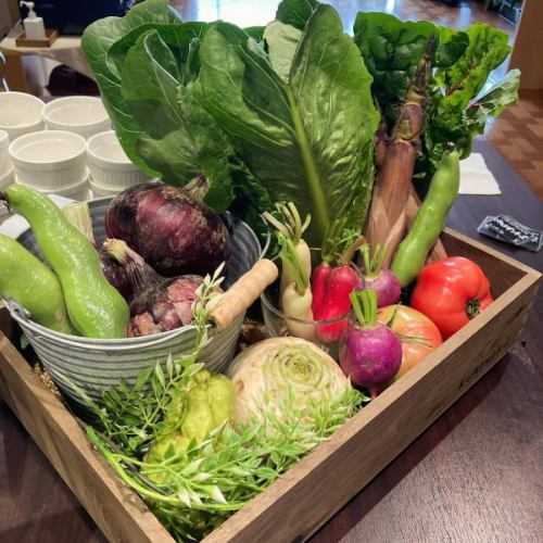 [Early summer menu]

Hello!
It's a veggie full kitchen 🍒

Just when you thought the rainy season had begun
The weather is clear and hot like midsummer,
It suddenly started raining again...☔️
Are you feeling unwell due to the sudden change in weather?
Eat well and take care of your health🕊️

Introducing our latest vegetables and menu!

■Hydrangea jelly🩵
Located in the neighboring village of Takagi
Purchased from THUKUMO FARM
Using dried butterfly pea flowers from the legume family
We have prepared beautiful blue jelly for you 🦋
Mixing it with grape jelly makes it look more like a hydrangea🟣

Herbs that look like leaves
These were picked in the herb garden next to the Vegeful Kitchen.
Available in limited quantities during the hydrangea blooming season in June!
It has been well received by many customers.

■ Broad beans
👩‍🌾Mibu-san
Served steamed with the skin on
The unique taste of broad beans and the fluffy texture will fill your mouth.

■Greenpeace
🧑‍🌾Mibu-san
We also have a variety of options for bean rice, chirashi sushi, and salads.
Frozen ones have a dry texture.
I know some people find it hard to do,
Available at Vegeful Kitchen
Raw green peas
It feels like a completely different thing,
It's moist and has a rich flavor. It's delicious.
Please try it even if you are not good at it.
I'd love for you to try the challenge 🔥

■ Korinki
👩‍🌾Hayashi-san
It's a pumpkin that can be eaten raw.
Thinly sliced for salads
Great crunch and texture!
Because agebitashi is heated,
You can enjoy the soft, crumbly texture of pumpkin.

■ Cherry Tomatoes
👨‍🌾Hara-san
Premium Ruby, Yellow Mini,
Candy pop, etc.
Various kinds of cherry tomatoes
They are making it for us!
It's thick and juicy, and very satisfying to eat.
I also use it as a topping for veggie pizza.

■Sky spinach
🧑‍🌾Hara-san, Sakai-san
It is a vegetable with a hollow stem.
Rich in beta-carotene, it goes great with oil!
You can enjoy the crunchy texture by stir-frying it 😊

Tomato, cucumber, eggplant,
Bell peppers, corn, etc.
The supply of summer vegetables has increased!
Enjoy dishes made with plenty of seasonal ingredients
May your stomachs and hearts be filled 💫
🍅🥒🍆🫑🌽

We are planning a small Tanabata event in July🌌🎋

We look forward to seeing you there!

✼••┈┈••✼••┈┈••✼••┈┈••✼••┈┈••✼
Vegeful Kitchen is
Fresh vegetables and fruits from Toyooka Village
A generous buffet-style meal
Vegetable Garden Buffet Restaurant
﹍ ﹍ ﹍ ﹍ ﹍ ﹍ ﹍ ﹍ ﹍
VEGE-FULL KITCHEN
﹉ ﹉ ﹉ ﹉ ﹉ ﹉ ﹉ ﹉ ﹉
@Roadside Station Minami Shinshu Toyooka Marche
Nagano Prefecture, Shimoina District, Toyooka Village, Kamiina 12410
☎️0265-48-8063

#Vegetablefulkitchen
#vegefullkitchen
#VegetableGardenBuffet
#Buffet #Restaurant
#Lots of vegetables #Vegetable buffet
#Fills your stomach and your heart
#Toyooka Travel Time #Toyooka Marche
#Minami Shinshu Toyooka Marche #Roadside station #Roadside station restaurant
#Toyooka Village #Iida City #Shimoina
#June #Minazuki #Rainy season #Cherry picking #Hydrangea #Hydrangea jelly #Herb garden #Fava beans #Green peas #Cornish #Cherry tomatoes #Water spinach #Summer vegetables