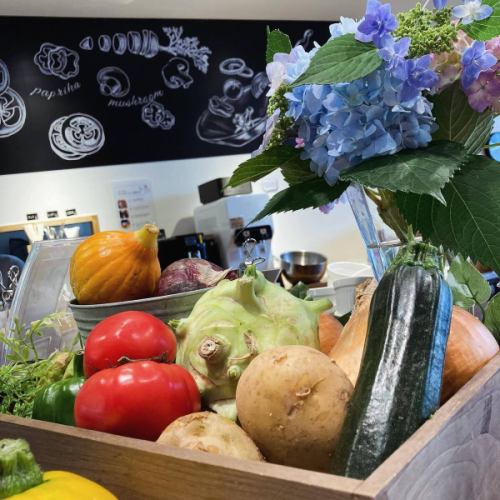 [Early summer menu]

Hello!
It's a veggie full kitchen 🍒

Just when you thought the rainy season had begun
The weather is clear and hot like midsummer,
It suddenly started raining again...☔️
Are you feeling unwell due to the sudden change in weather?
Eat well and take care of your health🕊️

Introducing our latest vegetables and menu!

■Hydrangea jelly🩵
Located in the neighboring village of Takagi
Purchased from THUKUMO FARM
Using dried butterfly pea flowers from the legume family
We have prepared beautiful blue jelly for you 🦋
Mixing it with grape jelly makes it look more like a hydrangea🟣

Herbs that look like leaves
These were picked in the herb garden next to the Vegeful Kitchen.
Available in limited quantities during the hydrangea blooming season in June!
It has been well received by many customers.

■ Broad beans
👩‍🌾Mibu-san
Served steamed with the skin on
The unique taste of broad beans and the fluffy texture will fill your mouth.

■Greenpeace
🧑‍🌾Mibu-san
We also have a variety of options for bean rice, chirashi sushi, and salads.
Frozen ones have a dry texture.
I know some people find it hard to do,
Available at Vegeful Kitchen
Raw green peas
It feels like a completely different thing,
It's moist and has a rich flavor. It's delicious.
Please try it even if you are not good at it.
I'd love for you to try the challenge 🔥

■ Korinki
👩‍🌾Hayashi-san
It's a pumpkin that can be eaten raw.
Thinly sliced for salads
Great crunch and texture!
Because agebitashi is heated,
You can enjoy the soft, crumbly texture of pumpkin.

■ Cherry Tomatoes
👨‍🌾Hara-san
Premium Ruby, Yellow Mini,
Candy pop, etc.
Various kinds of cherry tomatoes
They are making it for us!
It's thick and juicy, and very satisfying to eat.
I also use it as a topping for veggie pizza.

■Sky spinach
🧑‍🌾Hara-san, Sakai-san
It is a vegetable with a hollow stem.
Rich in beta-carotene, it goes great with oil!
You can enjoy the crunchy texture by stir-frying it 😊

Tomato, cucumber, eggplant,
Bell peppers, corn, etc.
The supply of summer vegetables has increased!
Enjoy dishes made with plenty of seasonal ingredients
May your stomachs and hearts be filled 💫
🍅🥒🍆🫑🌽

We are planning a small Tanabata event in July🌌🎋

We look forward to seeing you there!

✼••┈┈••✼••┈┈••✼••┈┈••✼••┈┈••✼
Vegeful Kitchen is
Fresh vegetables and fruits from Toyooka Village
A generous buffet-style meal
Vegetable Garden Buffet Restaurant
﹍ ﹍ ﹍ ﹍ ﹍ ﹍ ﹍ ﹍ ﹍
VEGE-FULL KITCHEN
﹉ ﹉ ﹉ ﹉ ﹉ ﹉ ﹉ ﹉ ﹉
@Roadside Station Minami Shinshu Toyooka Marche
Nagano Prefecture, Shimoina District, Toyooka Village, Kamiina 12410
☎️0265-48-8063

#Vegetablefulkitchen
#vegefullkitchen
#VegetableGardenBuffet
#Buffet #Restaurant
#Lots of vegetables #Vegetable buffet
#Fills your stomach and your heart
#Toyooka Travel Time #Toyooka Marche
#Minami Shinshu Toyooka Marche #Roadside station #Roadside station restaurant
#Toyooka Village #Iida City #Shimoina
#June #Minazuki #Rainy season #Cherry picking #Hydrangea #Hydrangea jelly #Herb garden #Fava beans #Green peas #Cornish #Cherry tomatoes #Water spinach #Summer vegetables