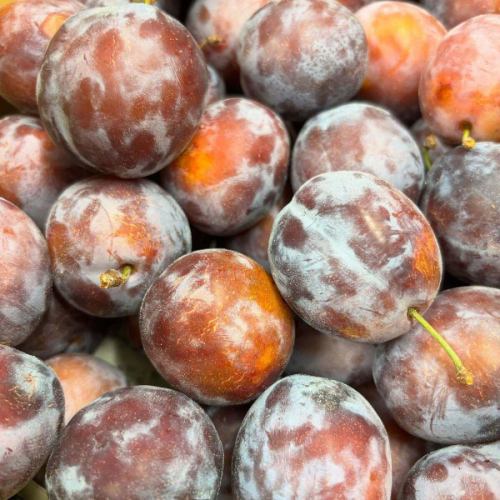 [八月營業日曆]

您好！
這是一個蔬菜齊全的廚房🍑

很抱歉通知晚了

------------------
📣八月假期公告
5日（週二）、6日（週三）
19日（星期二）
26日（週二）、27日（週三）
※盂蘭盆節期間，9日（週六）至17日（週日）期間營業。
請注意，我們將在不定期的日子關閉。

假日期間，請致電Vegeful Kitchen。
即使您聯絡我們進行預訂或諮詢，
請諒解我們無法滿足您的要求。

透過 Hot Pepper Gourmet 線上預訂，
或管理處的“豐岡旅行時間”
(📞0265-49-3395)
請聯絡我們。
------------------
⚠️9/1（週一）路邊站豐岡Marche，
包含豐岡旅行時間
整個設施每年關閉一次以進行維護。

🍆🥬🫑🥕🍅🥒🧅🌽🫜🍠🥔
\\ 蔬菜日博覽會將舉行 //
去年8月30日和31日兩天取得了巨大的成功。
我們將舉辦蔬菜日市集🥗
我們計劃舉辦一場比平常更蔬菜豐富的展覽！ ！
更多詳情將於稍後公佈，敬請期待！
🍆🥬🫑🥕🍅🥒🧅🌽🫜🍠🥔

📸背景照片介紹
👨‍🌾Tado的西梅干

西梅干是常見的乾果和果醬，
這是一種生吃起來非常美味的水果！

種子小，果實大，可連皮食用。
甜度和酸度的良好平衡，
具有容易食用的口感。

有一種水果叫李子，與西梅類似。
日文兩者都稱為「sumomo」。
西梅是原產於高加索地區的李子。
東方李子，原產於中國，故稱「李子」。

西梅富含維生素和礦物質
含有多種營養成分
它還富含果膠，一種水溶性膳食纖維！
對營養吸收至關重要
它促進小腸細胞的生長。

此外，女性會特別高興
它也因富含鐵而聞名。
* 乾西梅比生西梅好。
每一種都含有大量的鐵。

Vegeful Kitchen 提供限量數量的生食，
製作自己的果醬並與酸奶、麵包等一起享用。
我們已經準備好讓你們一起享受🟣
請嘗試！

期待您的光臨！

✼••┈••✼••┈┈••┈•✼••┈┈••✼••┈┈••✼••┈┈••✼
蔬菜齊全的廚房
豐岡村的新鮮蔬菜和水果
自助餐樣式豐富
菜園自助餐廳
﹍﹍﹍﹍﹍﹍﹍﹍﹍
蔬菜齊全的廚房
﹉﹉﹉﹉﹉﹉﹉﹉﹉
@道之站南新州豐岡Marche
長野縣下伊那郡豐岡村上根12410
☎️0265-48-8063

#蔬菜廚房
#vegefullkitchen
#菜園自助餐
#自助餐#餐廳
#很多蔬菜#蔬菜自助餐
#豐岡旅行時間#豐岡馬爾凱
#南新州豐岡Marche #道之站 #道之站餐廳
#豐岡村#飯田市#下伊那
#八月#蔬菜日#831日#Vegeful Kitchen蔬菜日市集#西梅干