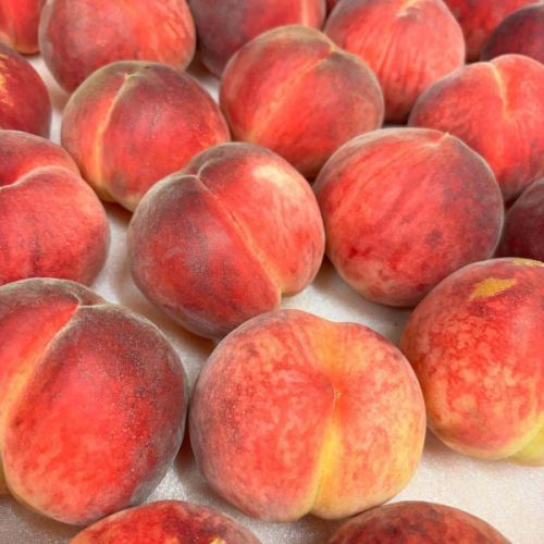 [Peach dessert pizza is ready]

Good evening!
It's a veggie full kitchen 🍑

Peach harvest is at its peak,
Vegeful Kitchen is now also able to stock up on this product 👏
"Peach Dessert Pizza" is finally here✨🍑

Carefully compote peaches
Arrange them on the pizza dough with the custard cream spread on top.
Baked with plenty of cheese!
The saltiness of the cheese brings out the sweetness even more.

They come all the way from far away just to eat
It is so popular that there are even fans.
This is a seasonal menu☀️

Fresh peaches are also available depending on availability.
There are also days when it can be served as a dessert.
Also, the fruit ale "Peach Temptation"
We still have some available 🍻

Please come and visit us 🚗

✼••┈┈••✼••┈┈••✼••┈┈••✼••┈┈••✼
Vegeful Kitchen is
Fresh vegetables and fruits from Toyooka Village
A generous buffet-style meal
Vegetable Garden Buffet Restaurant
﹍ ﹍ ﹍ ﹍ ﹍ ﹍ ﹍ ﹍ ﹍
VEGE-FULL KITCHEN
﹉ ﹉ ﹉ ﹉ ﹉ ﹉ ﹉ ﹉ ﹉
@Roadside Station Minami Shinshu Toyooka Marche
Nagano Prefecture, Shimoina District, Toyooka Village, Kamiina 12410
☎️0265-48-8063

#Vegetablefulkitchen
#vegefullkitchen
#VegetableGardenBuffet
#Buffet #Restaurant
#Lots of vegetables #Vegetable buffet
#Fills your stomach and your heart
#Toyooka Travel Time #Toyooka Marche
#Minami Shinshu Toyooka Marche #Roadside station #Roadside station restaurant
#Toyooka Village #Iida City #Shimoina
#Peach dessert pizza #Peach #Peach temptation #Toyooka fruit ale #Akatsuki #Seasonal limited #Limited quantity