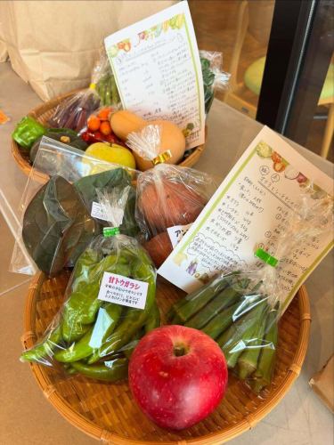 【野菜の日フェア2025のお礼】

こんばんは！
ベジフルキッチンです🫑

🍅🍆🫛🥦🥬🥒🌶️🫑🌽🥕🧄🧅🥔🫜

昨日までの2日間『野菜の日フェア』
たくさんのお客様にご来店いただき
ありがとうございました😊

🍅🍆🫛🥦🥬🥒🌶️🫑🌽🥕🧄🧅🥔🫜

いつも以上に野菜尽くしのフェア、いかがでしたか？？

オリジナルドレッシングを
食べ比べして楽しんでいただくお客様が多く、
普段よりもサラダの消費が激しくて
お客様も『野菜の日』を
意識してくださっているのが感じられました🥗
他のメニューもたくさん食べていただき、
美味しいというお声をたくさんいただきました♪

また、野菜の福袋もご好評いただいて、
手に取ってくださったお客様の笑顔が
間近に見られたのもとても良い機会になったと感じます☺️

ご協力いただいた農家🧑‍🌾の皆様、
本当にありがとうございました！

今日から9月！
野菜の日フェアは終了しましたが…
ベジフルキッチンは毎日約20種類の野菜を使った
ビュッフェのメニューをご提供しています🍅

野菜をたくさん食べたい、
体の調子を整えたい時はぜひ！
ベジフルキッチンへお越しください❣️

みなさまのご来店、心よりお待ちしております✨

🍅🍆🫛🥦🥬🥒🌶️🫑🌽🥕🧄🧅🥔🫜

✼••┈┈••✼••┈┈••✼••┈┈••✼••┈┈••✼ 
ベジフルキッチンは
 豊丘村の新鮮な野菜や果物が 
たっぷり取れるビュッフェスタイルの 
菜園ビュッフェレストラン 
﹍ ﹍ ﹍ ﹍ ﹍ ﹍ ﹍ ﹍ ﹍ 
ベジフルキッチン VEGE-FULL KITCHEN 
﹉ ﹉ ﹉ ﹉ ﹉ ﹉ ﹉ ﹉ ﹉ 
南信州唯一の日本野菜ソムリエ協会認定店です🥗

@道の駅南信州とよおかマルシェ 
長野県下伊那郡豊丘村神稲12410 
☎️0265-48-8063

#ベジフルキッチン
#vegefullkitchen
#菜園ビュッフェ
#ビュッフェ #レストラン
#野菜たっぷり #野菜ビュッフェ
#とよおか旅時間#とよおかマルシェ
#南信州とよおかマルシェ
#道の駅 #道の駅レストラン 
#豊丘村 #飯田市 #下伊那
#日本野菜ソムリエ協会認定レストラン
#野菜の日特別メニュー
#野菜を食べよう
#野菜の日2025
#野菜の日
#野菜
#野菜大好き