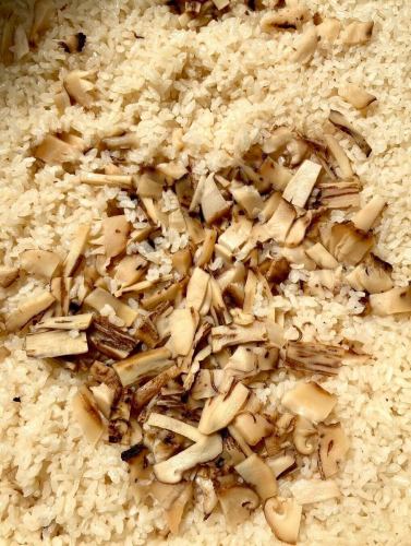 【2日間限定 松茸ごはん提供します!】
こんにちは!
ベジフルキッチンです🥗
🍂✨🍁🍄🟫🌾🍁✨🍂
豊丘村産 松茸ごはん
ビュッフェメニューでご提供します!
大勢のお客様から
お問い合わせいただいておりました、
松茸を使ったメニュー
【2日間限定】でご用意します✨
◾️期間
2025/10/18(土)、10/19(日) のみ
◾️提供方法
入店時に「松茸ごはん引換券」を配布します。
料金を頂戴するお客様1名様につき、1枚のお渡しです。
※料金無料の未就学児分はお渡しできません。
お食事中に受け渡し場所まで引換券をお持ちいただき、
スタッフへお渡しください。
専用の容器に取り付けた
松茸ごはんをお渡しします!
数量限定、無くなり次第終了です。
🍂✨🍁🍄🟫🌾🍁✨🍂
高級松茸を食べ放題!は
流石にできませんが…😅
松茸の大産地である豊丘村だからこそできる
年に1度の振る舞いです🍁
11:00〜と12:45〜ご案内するお客様には
十分行き渡る量をご用意する予定ですが、
14:00以降遅い時間になると、
無くなってしまう可能性がございます。
予めご了承ください。
期間中は大変混雑が予想されますので、
原則【当日10時までの電話予約】でご予約を承ります。
また、10/19(日)は
ベジフルキッチン横の
とよおかマルシェ屋根付き広場特設会場で、
堀越まつたけ祭も開催されます🍄🟫
詳細は豊丘村観光協会
@toyooka_tabijikan 
の投稿をご覧ください!
ご来店お待ちしております!
✼••┈┈••✼••┈┈••✼••┈┈••✼••┈┈••✼ 
ベジフルキッチンは
 豊丘村の新鮮な野菜や果物が 
たっぷり取れるビュッフェスタイルの 
菜園ビュッフェレストラン 
﹍ ﹍ ﹍ ﹍ ﹍ ﹍ ﹍ ﹍ ﹍ 
ベジフルキッチン VEGE-FULL KITCHEN 
﹉ ﹉ ﹉ ﹉ ﹉ ﹉ ﹉ ﹉ ﹉ 
南信州唯一の日本野菜ソムリエ協会認定店です🥗
@道の駅南信州とよおかマルシェ 
長野県下伊那郡豊丘村神稲12410 
☎️0265-48-8063
🍅🍆🫛🥦🥬🥒🌶️🫑🌽🥕🧄🧅🥔
#ベジフルキッチン
#vegefullkitchen
#菜園ビュッフェ
#ビュッフェ #レストラン
#野菜たっぷり #野菜ビュッフェ
#とよおか旅時間#とよおかマルシェ
#南信州とよおかマルシェ
#道の駅 #道の駅レストラン 
#豊丘村 #飯田市 #下伊那
#日本野菜ソムリエ協会認定レストラン
#松茸ごはん#まつたけ#2日間限定