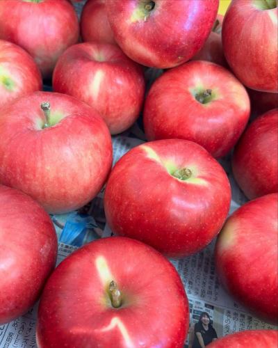 【10月営業カレンダー】
こんにちは!
ベジフルキッチンです🌰
暑さ寒さも彼岸までというように、
一気に秋の空気になりましたね🍁
------------------
📣10月お休みのお知らせ
毎週火曜日
7,14,21,28日
団体様のご利用日は🚍マークが付いています。
詳細を確認したい場合はお電話でお問合せください。
お休み中、ベジフルキッチンのお電話へ
ご予約や問い合わせのご連絡をいただいても、
対応出来かねますことご了承くださいませ。
定休日でもWeb予約なら24時間可能です!
------------------
🔴9/27(土)~9/29(月) 2周年記念フェア実施🎉
日頃からのお客様にご愛顧いただき、
おかげさまでベジフルキッチンは
9/27(土)に2周年を迎えます。
2周年を記念して豊丘村の秋の味覚をたっぷり使用した
特別メニューをご提供いたします✨
詳細はプロフィールに固定した投稿をご覧ください!
月末のハロウィンもプチイベントを予定しています🎃👻🕸️
📸背景写真のご紹介
👨🌾唐澤さんのシナノプッチ
綺麗な赤い果皮のりんごです🍎
「つがる」と「さんさ」を交配して作られた品種で、
信州りんごの「シナノシリーズ」の1つです!
名前の由来にもなる
少し小玉(プッチはフランス語で小さいの意味)の
りんごです🍏
まるかじりや食べきりに適したサイズ😋
酸味が少なく、パリパリとした食感で食味が良いです♪
☝️シナノシリーズとは…
長野県農業関係試験場にて開発した
新品種/オリジナル品種のりんごのことを指します🍎🍏
・シナノリップ
・シナノスイート
・シナノピッコロ
・シナノホッペ
・シナノレッド
・シナノドルチェ
・シナノゴールド
・高嶺(たかね)
・キルトピンク
すべて食べたことありますか??🤔
ベジフルキッチンでは時期に合わせて
早生~晩生のりんごを仕入れて、ご提供しています!
これからのご来店時にどんなりんごがあるのか
楽しみにお越しください❣️
気温の変化が激しい季節の変わり目、
体長を崩されないようにご自愛くださいませ🍂
みなさまのご来店、心よりお待ちしております!
✼••┈┈••✼••┈┈••✼••┈┈••✼••┈┈••✼ 
ベジフルキッチンは
 豊丘村の新鮮な野菜や果物が 
たっぷり取れるビュッフェスタイルの 
菜園ビュッフェレストラン 
﹍ ﹍ ﹍ ﹍ ﹍ ﹍ ﹍ ﹍ ﹍ 
ベジフルキッチン VEGE-FULL KITCHEN 
﹉ ﹉ ﹉ ﹉ ﹉ ﹉ ﹉ ﹉ ﹉ 
南信州唯一の日本野菜ソムリエ協会認定店です🥗
@道の駅南信州とよおかマルシェ 
長野県下伊那郡豊丘村神稲12410 
☎️0265-48-8063
#ベジフルキッチン
#vegefullkitchen
#菜園ビュッフェ
#ビュッフェ #レストラン
#野菜たっぷり #野菜ビュッフェ
#とよおか旅時間#とよおかマルシェ
#南信州とよおかマルシェ
#道の駅 #道の駅レストラン 
#豊丘村 #飯田市 #下伊那
#日本野菜ソムリエ協会認定レストラン
#野菜の日特別メニュー
#野菜を食べよう
#野菜の日2025
#野菜の日
#野菜
#野菜大好き
#10月#神無月#りんご#シナノプッチ