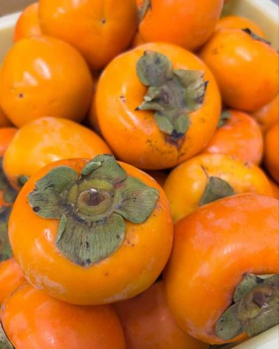 【十二月商業日曆】
您好!
這是一個素食廚房
------------------
📣十二月假期公告
①每週二
第2、9、16、23
② 新年假期
2026年1月29日星期一至2026年1月7日星期三
團體使用日期標示🚍符號。
如果您想了解更多詳情,請致電與我們聯絡。
假日期間,請致電素食廚房。
即使您聯絡我們進行預訂或諮詢,
請理解,我們無法滿足您的要求。
線上預約服務24小時開放,假日也不例外!
------------------
🔴
2025年只剩下一個月左右了。
新年假期期間我們將休息10天。
由此造成的不便,我們深表歉意,並感謝您的體諒。
🟢
12月14日(星期日)將舉行
與「Toyotabi XMAS FOOD FES2025」合作
一份類似聖誕節的菜單
我們會在25號之前準備好🎄🎅
活動詳情
@toyooka_tabijikan
快來看看這篇文章❄️
📸背景照片介紹
👨🌾宇佐美的次郎柿子
次郎柿是一種甜柿子。
從上方看,它呈現矩形。
它味道很甜,口感緊實。
越成熟,質地就越濃稠。
你喜歡硬的質地還是軟的質地?
在豐岡村,它們被加工成柿餅。
這裡種植的主要品種是市田柿(澀柿)。
運送甜柿子的農民
幹得好!
伊納山谷在一年中的這個時候獨具特色。
天龍川上出現河霧也已成為常見景象。
在高海拔地區,一片雲海在你面前展開。
早晨氣溫驟降時形成的霧
保持合適的濕度和溫度
它對農作物也有正面作用。
我們還有各種各樣的冬季蔬菜和水果,例如柿子和蘋果☺️
當你穿過村莊時,
柿子窗簾鮮豔的橘色
你可以看到一絲曙光👀
出門的時候請留意一下🧡
我們期待您的光臨!
✼••┈••✼••┈┈••┈•✼••┈┈••✼••┈┈••✼••┈┈••✼
蔬菜齊全的廚房
豐岡村的新鮮蔬菜和水果
自助餐樣式豐富
菜園自助餐廳
﹍﹍﹍﹍﹍﹍﹍﹍﹍
蔬菜齊全的廚房
﹉﹉﹉﹉﹉﹉﹉﹉﹉
我們是南信州唯一獲得日本蔬菜侍酒師協會認證的商店。
@道之站南新州豐岡Marche
長野縣下伊那郡豐岡村上根12410
☎️0265-48-8063
#蔬菜廚房
#vegefullkitchen
#菜園自助餐
#自助餐#餐廳
#大量蔬菜 #蔬菜自助餐
#豐岡旅行時間#豐岡馬爾凱
#南信州豐岡Marche
#路邊站 #路邊站餐廳
#豐岡村#飯田市#下伊那
#日本蔬菜侍酒師協會認證餐廳
#十二月 #十二月 #次郎柿子 #市田柿子 #伊那谷 #天龍川霧