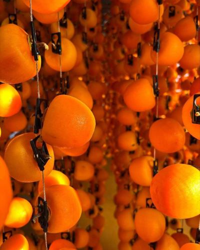 【十二月商業日曆】
您好!
這是一個素食廚房
------------------
📣十二月假期公告
①每週二
第2、9、16、23
② 新年假期
2026年1月29日星期一至2026年1月7日星期三
團體使用日期標示🚍符號。
如果您想了解更多詳情,請致電與我們聯絡。
假日期間,請致電素食廚房。
即使您聯絡我們進行預訂或諮詢,
請理解,我們無法滿足您的要求。
線上預約服務24小時開放,假日也不例外!
------------------
🔴
2025年只剩下一個月左右了。
新年假期期間我們將休息10天。
由此造成的不便,我們深表歉意,並感謝您的體諒。
🟢
12月14日(星期日)將舉行
與「Toyotabi XMAS FOOD FES2025」合作
一份類似聖誕節的菜單
我們會在25號之前準備好🎄🎅
活動詳情
@toyooka_tabijikan
快來看看這篇文章❄️
📸背景照片介紹
👨🌾宇佐美的次郎柿子
次郎柿是一種甜柿子。
從上方看,它呈現矩形。
它味道很甜,口感緊實。
越成熟,質地就越濃稠。
你喜歡硬的質地還是軟的質地?
在豐岡村,它們被加工成柿餅。
這裡種植的主要品種是市田柿(澀柿)。
運送甜柿子的農民
幹得好!
伊納山谷在一年中的這個時候獨具特色。
天龍川上出現河霧也已成為常見景象。
在高海拔地區,一片雲海在你面前展開。
早晨氣溫驟降時形成的霧
保持合適的濕度和溫度
它對農作物也有正面作用。
我們還有各種各樣的冬季蔬菜和水果,例如柿子和蘋果☺️
當你穿過村莊時,
柿子窗簾鮮豔的橘色
你可以看到一絲曙光👀
出門的時候請留意一下🧡
我們期待您的光臨!
✼••┈••✼••┈┈••┈•✼••┈┈••✼••┈┈••✼••┈┈••✼
蔬菜齊全的廚房
豐岡村的新鮮蔬菜和水果
自助餐樣式豐富
菜園自助餐廳
﹍﹍﹍﹍﹍﹍﹍﹍﹍
蔬菜齊全的廚房
﹉﹉﹉﹉﹉﹉﹉﹉﹉
我們是南信州唯一獲得日本蔬菜侍酒師協會認證的商店。
@道之站南新州豐岡Marche
長野縣下伊那郡豐岡村上根12410
☎️0265-48-8063
#蔬菜廚房
#vegefullkitchen
#菜園自助餐
#自助餐#餐廳
#大量蔬菜 #蔬菜自助餐
#豐岡旅行時間#豐岡馬爾凱
#南信州豐岡Marche
#路邊站 #路邊站餐廳
#豐岡村#飯田市#下伊那
#日本蔬菜侍酒師協會認證餐廳
#十二月 #十二月 #次郎柿子 #市田柿子 #伊那谷 #天龍川霧