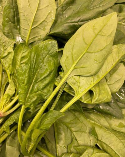 【11월 영업 캘린더】
안녕하세요!
베지풀 부엌입니다 🍠
------------------
📣 11월 휴일 알림
매주 화요일
4,11,18,25일
단체님의 이용일은 🚍 마크가 붙어 있습니다.
자세한 내용을 확인하려면 전화로 문의하십시오.
쉬는 동안 베지풀 주방 전화로
예약이나 문의의 연락을 받고도
대응할 수 없기 때문에 양해 바랍니다.
정기 휴일에도 웹 예약이라면 24 시간 가능합니다!
------------------
어제 오늘과 이틀만 한정으로
도요오카무라의 명산 송이버섯을 사용한
송이버섯 밥을 수량 한정으로 제공했습니다 🍄🟫
직전의 소식에도 불구하고,
내점해 주신 고객,
정말 고마워요!
작년 같은 대풍작은 안돼...💦
자연의 은혜의 고마움을 실감하고 있습니다 🍁🍂
아직 수량은 줄어들지만,
토요 오카 마르쉐 등에서는 판매되고 있으므로,
가을의 미각을 끝까지 즐기세요 😋
📸 배경 사진 소개
🧑🌾하라 씨의 시금치
가을·겨울에 제철을 맞이하는 녹황색 야채입니다🥬
비타민과 미네랄을 풍부하게 함유하고,
철분이 많기 때문에 빈혈 예방에도 도움이 될 수 있습니다.
유명하지 않습니까?
시금치는 동양종과 서양종의 2종류가 있으며,
현재 두 가지를 곱한 교잡종
주류가 되고 있다고 합니다.
각각의 특징은 다음과 같습니다.
🟢 동양종
잎살이 얇고 들쭉날쭉한 모양(검잎),
아크가 적기 때문에 히타시 등으로 향하는 품종
🟢 서양 종
잎이 둥글고 두껍기 때문에 볶음 등으로 향하는 품종
맛의 특징이 되는 아크는 옥살산이 원인입니다.
과잉 섭취는 요로 결석의 위험을 높이기 때문에,
삶은 (삶은 삶은) 먹는 것이 적절합니다.
또한 가다랭이, 작은 물고기, 치즈 등
칼슘을 포함한 재료와 결합하여
옥살산의 흡수를 억제할 수도 있습니다⭕️
품종 개량이 진행되어 생식 가능
샐러드 시금치 등도 최근에는 유통되고 있어요 ✨
꼭, 다양한 먹는 방법으로 시금치를 즐겨 주세요♪
여러분의 내점, 진심으로 기다리고 있습니다!
✼••┈┈••✼••┈┈••✼••┈┈••✼••┈┈••✼
베지풀 주방은
도요 오카 마을의 신선한 야채와 과일
풍부한 뷔페 스타일
菜園 뷔페 레스토랑
﹍ ﹍ ﹍ ﹍ ﹍ ﹍ ﹍ ﹍
베지풀 주방 VEGE-FULL KITCHEN
﹉ ﹉ ﹉ ﹉ ﹉ ﹉ ﹉ ﹉ ﹉
미나미 신슈 유일의 일본 야채 소믈리에 협회 인정점입니다 🥗
@ 미치노에키 미나미신슈와 요오카 마르쉐
나가노현 시모이나군 도요오카무라 신이나12410
☎️0265-48-8063
#베지풀
#vegefullkitchen
#채소버페
#뷔페 #레스토랑
#야채 가득 #야채 뷔페
#토요오카여행시간 #토요오카마르쉐
#남신주와요오카마르쉐
#미치노에키 #미치노에키 레스토랑
#도요오카무라 #이이다시 #시모이나
#일본야채소믈리에협회인정 레스토랑
# 11 월 # 서리 달 # 시금치