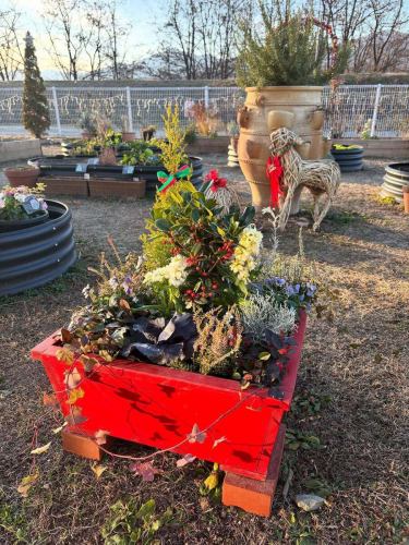 【クリスマスメニュー】

こんばんは！
ベジフルキッチンです🥗

2025年も残り僅かになりましたね。
そしていよいよ来週はクリスマス🎄

先日12/14(日)開催の
とよ旅XMAS FOOD FES2025
@toyooka_tabijikan では
大勢のお客様が道の駅とよおかマルシェに
お越しいただきました🎅🎁
ありがとうございます！

ベジフルキッチンもイベントに合わせて
25日までの期間限定で
クリスマスメニューをご用意しています💓

💚🍰🌟🎄🎁❄️☃️🎅🫎✨🎄❄️🧣❤️

【ベジフルキッチン　2025クリスマスMenu】
🐽信美豚のハンバーグ～デミグラスソースがけ～
🥗自分でつくるリースサラダ
🍗ローストチキン
🥙ピタパン～サルサ❤️とバジル💚のクリスマスカラーソース～
🍅ミネストローネ～トマトスープ～
🥣クリームシチュー
🐓チキンライス
🍕クリスマスデザートピザ
🧡市田柿入とドライフルーツのパウンドケーキ～シュトレン風～
🍓豊丘村産いちごのデザート
　　　　　　　　　　など

💚🍰🌟🎄🎁❄️☃️🎅🫎✨🎄❄️🧣❤️

その他日替わりのサラダバーや
お料理も多数ご用意しています🍽️

また、ベジフルキッチン店内や入口周辺、ハーブガーデンは、
クリスマスツリーやリース、飾りもたくさん✨💖
夕方以降は、お食事はできませんが
イルミネーションもお楽しみいただけます🎄

大切なご家族、恋人、ご友人とぜひ
素敵な時間をお過ごしください♪🌃

みなさまのご来店、心よりお待ちしております！

✼••┈┈••✼••┈┈••✼••┈┈••✼••┈┈••✼ 
ベジフルキッチンは
 豊丘村の新鮮な野菜や果物が 
たっぷり取れるビュッフェスタイルの 
菜園ビュッフェレストラン 
﹍ ﹍ ﹍ ﹍ ﹍ ﹍ ﹍ ﹍ ﹍ 
ベジフルキッチン VEGE-FULL KITCHEN 
﹉ ﹉ ﹉ ﹉ ﹉ ﹉ ﹉ ﹉ ﹉ 
南信州唯一の日本野菜ソムリエ協会認定店です🥗

@道の駅南信州とよおかマルシェ 
長野県下伊那郡豊丘村神稲12410 
☎️0265-48-8063

#ベジフルキッチン
#vegefullkitchen
#菜園ビュッフェ
#ビュッフェ #レストラン
#野菜たっぷり #野菜ビュッフェ
#とよおか旅時間#とよおかマルシェ
#南信州とよおかマルシェ
#道の駅 #道の駅レストラン 
#豊丘村 #飯田市 #下伊那
#日本野菜ソムリエ協会認定レストラン
#クリスマス#クリスマスメニュー#期間限定#イルミネーション#クリスマスツリー