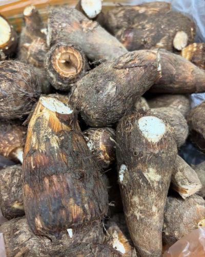 [一月商业日历]

您好！
这是一个充满蔬菜的厨房🥦

2025年只剩最后一周了。
今年究竟是怎样的一年？
今年8月，本店被日本蔬菜侍酒师协会认证为认证店铺。
让更多客户了解你
丰冈村的蔬菜、水果和农民的粉丝们
我认为我们成功增加了它的使用人数。

新年假期期间我们将休息10天。
此外，由于冬季的影响，一月和二月蔬菜的种类和产量都会减少。
我们将把常规的休息日改为每周两天。
详情如下👇

------------------
📣 一月假期公告
〇 新年假期停业
2025年12月29日（星期一）~ 2026年1月7日（星期三）

每周二和周三
第13、14、20、21、27、28天

团体使用日期标有🚍符号。
如果您想了解更多详情，请致电联系我们。

节假日期间，请致电素食厨房。
即使您联系我们进行预订或咨询，
请理解，我们无法满足您的要求。
在线预订服务24小时开放，节假日也不例外！
------------------
*有关丰冈马尔凯路边车站的全部设施信息，
请查看第三张图片。
https://www.vill-nagano-toyooka-kanko.jp/2025/12/21/New Year's holiday schedule/

由此造成的不便，我们深表歉意。
感谢您的理解。

📸背景照片介绍
👩‍🌾福泽先生的芋头

芋头从秋季到冬季都可以收获。
它质地粘稠，
因为它是一件象征多子多福的吉祥物。
它是新年御节料理中必不可少的蔬菜㊗️🌸

它富含多种营养物质，有助于调节身体的各种不适症状。

半乳聚糖和葡甘露聚糖
两者都是具有独特粘度的膳食纤维。
葡甘露聚糖也是魔芋的主要成分。
“曼南生活~♪”广告
我相信你们很多人都已经知道这一点了，对吧？

据说这种粘性可以有效防止暴饮暴食。
通过减缓碳水化合物的吸收
预计它将起到抑制血糖水平升高的作用！
此外，摄入膳食纤维也有助于改善肠道蠕动。

✅钾
芋头是一种富含钾的食物。
钾在调节体内体液方面起着重要作用。
非常适合预防水肿和高血压！

最受欢迎的菜肴是炖芋头。
它质地柔滑细腻💛
注意调味料的选择，它能激发蔬菜的美味。
请尽情享受吧！

我们期待您的光临🥗

✼••┈••✼••┈┈••┈•✼••┈┈••✼••┈┈••✼••┈┈••✼
蔬菜齐全的厨房
丰冈村的新鲜蔬菜和水果
自助餐样式丰富
菜园自助餐厅
﹍﹍﹍﹍﹍﹍﹍﹍﹍
蔬菜齐全的厨房
﹉﹉﹉﹉﹉﹉﹉﹉﹉
我们是南信州唯一一家获得日本蔬菜侍酒师协会认证的商店。

@道之站南新州丰冈Marche
长野县下伊那郡丰冈村上根12410
☎️0265-48-8063

#蔬菜厨房
#vegefullkitchen
#菜园自助餐
#自助餐#餐厅
#大量蔬菜 #蔬菜自助餐
#丰冈旅行时间#丰冈马尔凯
#南信州丰冈Marche
#路边站 #路边站餐厅
#丰冈村#饭田市#下伊那
#日本蔬菜侍酒师协会认证餐厅
#一月#睦月#太郎