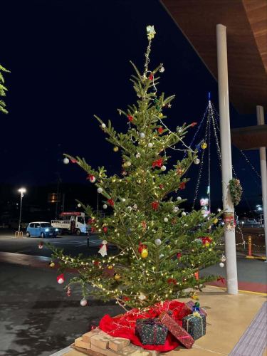 【圣诞菜单】

晚上好！
这是一个素食厨房🥗

距离2025年只剩几天了。
最后，下周就是圣诞节啦🎄

前几天，也就是12月14日（星期日）举行的活动
丰田圣诞美食节 2025
@toyooka_tabijikan
许多顾客来到了丰冈市场路边站。
谢谢大家的光临🎅🎁
谢谢你！

素食厨房也可供活动使用。
限时优惠，截止至25日
圣诞菜单已上线💓

💚🍰🌟🎄🎁❄️☃️🎅🫎✨🎄❄️🧣❤️

【2025年素食厨房圣诞菜单】
🐽新比猪肉汉堡牛排配半釉汁
🥗自制瑞茜沙拉
烤鸡
🥙 皮塔饼 ~ 圣诞色彩莎莎酱 ❤️ 和罗勒酱 💚 ~
🍅蔬菜汤（番茄汤）
🥣奶油炖菜
🐓鸡饭
🍕圣诞甜点披萨
🧡市田柿子干果磅蛋糕（德式圣诞蛋糕）
🍓丰冈村草莓甜点
如

💚🍰🌟🎄🎁❄️☃️🎅🫎✨🎄❄️🧣❤️

其他每日沙拉吧和
我们还提供各种各样的菜肴🍽️

此外，素食厨房内部、入口区域和香草园
好多圣诞树、花环和装饰品✨💖
晚上之后你就吃不下东西了。
您还可以欣赏灯光秀🎄

请带上您珍贵的家人、伴侣或朋友一起来。
祝你玩得开心♪🌃

我们期待您的光临！

✼••┈••✼••┈┈••┈•✼••┈┈••✼••┈┈••✼••┈┈••✼
蔬菜齐全的厨房
丰冈村的新鲜蔬菜和水果
自助餐样式丰富
菜园自助餐厅
﹍﹍﹍﹍﹍﹍﹍﹍﹍
蔬菜齐全的厨房
﹉﹉﹉﹉﹉﹉﹉﹉﹉
我们是南信州唯一一家获得日本蔬菜侍酒师协会认证的商店。

@道之站南新州丰冈Marche
长野县下伊那郡丰冈村上根12410
☎️0265-48-8063

#蔬菜厨房
#vegefullkitchen
#菜园自助餐
#自助餐#餐厅
#大量蔬菜 #蔬菜自助餐
#丰冈旅行时间#丰冈马尔凯
#南信州丰冈Marche
#路边站 #路边站餐厅
#丰冈村#饭田市#下伊那
#日本蔬菜侍酒师协会认证餐厅
#圣诞节 #圣诞菜单 #限时供应 #灯光秀 #圣诞树