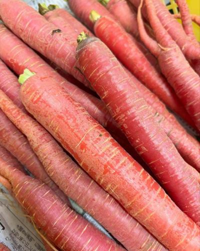 [Menu Introduction 1]

"Red and White Pickled Vegetables"

The red of the red carrot and the white of the radish create a festive red and white color combination ❤️🤍
A yuzu-scented dish perfect for the New Year!

Kintoki carrots are also called Kyoto carrots,
It is characterized by its bright red color
It is also often used in osechi and ozoni.
Rather than the orange-colored Western carrots we usually eat,
This is a soft and sweet oriental carrot.

2026 is the Year of the Horse🐴
Horses love carrots
It is said that the reason is "sweetness" 🥕✨
Carrots are in season in winter and are rich in carotene and are packed with nutrients.

🥗Vegetable producers
Kintoki carrots...students from Iida Special Needs School
Daikon radish...Hayashi-san
Yuzu...Mibu-san

*The menu changes daily depending on the vegetables we purchase,
The menu items introduced may not be available the next day.
Please acknowledge it.

✼••┈┈••✼••┈┈••✼••┈┈••✼••┈┈••✼
Vegeful Kitchen is
Fresh vegetables and fruits from Toyooka Village
A generous buffet-style meal
Vegetable Garden Buffet Restaurant
﹍ ﹍ ﹍ ﹍ ﹍ ﹍ ﹍ ﹍ ﹍
VEGE-FULL KITCHEN
﹉ ﹉ ﹉ ﹉ ﹉ ﹉ ﹉ ﹉ ﹉
We are the only store in Minami Shinshu certified by the Japan Vegetable Sommelier Association.

@Roadside Station Minami Shinshu Toyooka Marche
Nagano Prefecture, Shimoina District, Toyooka Village, Kamiina 12410
☎️0265-48-8063

#Vegetablefulkitchen
#VegetableBuffet
#Toyooka Marche Roadside Station
#Toyooka Village
#Japan Vegetable Sommelier Association Certified Store
