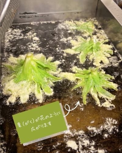 【菜单介绍】

蜂斗菜芽天妇罗
《抹布和味噌》

春天的味道：款冬嫩芽 🌱🌼
一大批货物刚刚到货！

早晚还是有点冷。
坐在餐桌旁都能感受到春天的气息！

其独特的苦味和香气能恰到好处地刺激胃肠道。
它有助于增进食欲，激活新陈代谢。

天妇罗当然很好吃。
我们最推荐的是洗碗巾和味噌！

它也可以用作蒸蔬菜（如白萝卜和菠菜）的蘸酱。
搭配鸡排也很好吃。
配上热腾腾的新鲜白米饭也很好吃。
享受它的方式有很多种😋🌿

款冬嫩芽的名称是
我听说全国各地有很多不同的方言。
显然，丰冈村的人们称它为“fukinto”。
菜单名称也按地区列出！

🥗蔬菜（🧑‍🌾生产者）
款冬芽（松下、福泽、林）

菜单会根据蔬菜的供应情况而变化。
第二天可能就无法供应新推出的菜品了。
请承认。

✼••┈••✼••┈┈••┈•✼••┈┈••✼••┈┈••✼••┈┈••✼
蔬菜齐全的厨房
丰冈村的新鲜蔬菜和水果
自助餐样式丰富
菜园自助餐厅
﹍﹍﹍﹍﹍﹍﹍﹍﹍
蔬菜齐全的厨房
﹉﹉﹉﹉﹉﹉﹉﹉﹉
我们是南信州唯一一家获得日本蔬菜侍酒师协会认证的商店。

@道之站南新州丰冈Marche
长野县下伊那郡丰冈村上根12410
☎️0265-48-8063

#蔬菜厨房
#蔬菜自助餐
#丰冈马尔凯路边站
#丰冈村
#日本蔬菜侍酒师协会认证店铺