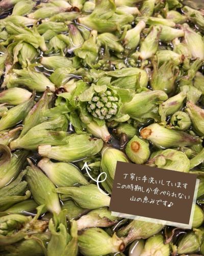 【菜单介绍】

蜂斗菜芽天妇罗
《抹布和味噌》

春天的味道：款冬嫩芽 🌱🌼
一大批货物刚刚到货！

早晚还是有点冷。
坐在餐桌旁都能感受到春天的气息！

其独特的苦味和香气能恰到好处地刺激胃肠道。
它有助于增进食欲，激活新陈代谢。

天妇罗当然很好吃。
我们最推荐的是洗碗巾和味噌！

它也可以用作蒸蔬菜（如白萝卜和菠菜）的蘸酱。
搭配鸡排也很好吃。
配上热腾腾的新鲜白米饭也很好吃。
享受它的方式有很多种😋🌿

款冬嫩芽的名称是
我听说全国各地有很多不同的方言。
显然，丰冈村的人们称它为“fukinto”。
菜单名称也按地区列出！

🥗蔬菜（🧑‍🌾生产者）
款冬芽（松下、福泽、林）

菜单会根据蔬菜的供应情况而变化。
第二天可能就无法供应新推出的菜品了。
请承认。

✼••┈••✼••┈┈••┈•✼••┈┈••✼••┈┈••✼••┈┈••✼
蔬菜齐全的厨房
丰冈村的新鲜蔬菜和水果
自助餐样式丰富
菜园自助餐厅
﹍﹍﹍﹍﹍﹍﹍﹍﹍
蔬菜齐全的厨房
﹉﹉﹉﹉﹉﹉﹉﹉﹉
我们是南信州唯一一家获得日本蔬菜侍酒师协会认证的商店。

@道之站南新州丰冈Marche
长野县下伊那郡丰冈村上根12410
☎️0265-48-8063

#蔬菜厨房
#蔬菜自助餐
#丰冈马尔凯路边站
#丰冈村
#日本蔬菜侍酒师协会认证店铺