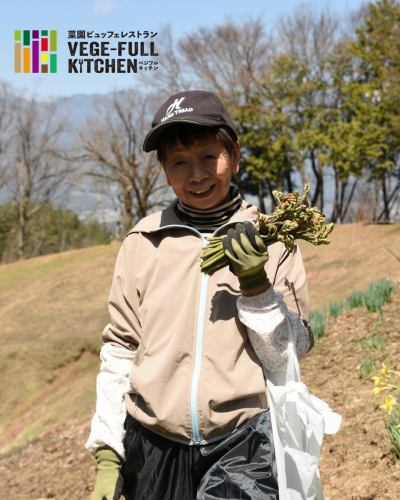 【豊丘村の農家さん紹介１】

ベジフルキッチンに春の恵みを届けてくれる、
生産者さんをご紹介します🌿

………………………………
👩‍🌾宮外さん
\わらび、タラの芽を出荷してくださっています/
………………………………

写真では伝わり切らないほどの急な斜面に、
4月上旬ごろニョキニョキと頭を出してくる『わらび』。
強靭な棘のある幹から芽吹く、『タラの芽』。
山の幸が手に入る時期になりましたね🌱

宮外さんは15歳まで過ごした実家を一度離れ、
約20年前にこの地へ戻ってきました。

元々あった畑は現在の1/10の規模からの
スタートだったそうです。
特にわらびはとても繊細で、雑草に負けやすい作物。
太くやわらかく育てるためには、
日々丁寧に手をかけることが欠かせません。

お家や畑の周りも毎日とても綺麗に管理されていて、
山菜が採れる時期は花が咲き誇っています🌸

山の寒暖差の中で育つことで、
ぐっと旨みが凝縮されるのがこの地域の特徴。

「自然に近い環境だからこそ生まれる、
春ならではの“濃い味わい”が魅力。
ぜひしっかり味わって食べていただきたい。」
そんな想いとともに、
今日も宮外さんは畑に向き合っています。

この季節だけの特別な美味しさ、
ぜひ感じてみてください✨

🌿農家さんのおすすめの食べかた
・わらびのおひたし
・竹の子とわらびの煮物
・タラの芽の天ぷら

✼••┈┈••✼••┈┈••✼••┈┈••✼••┈┈••✼ 
ベジフルキッチンは
 豊丘村の新鮮な野菜や果物が 
たっぷり取れるビュッフェスタイルの 
菜園ビュッフェレストラン 
﹍ ﹍ ﹍ ﹍ ﹍ ﹍ ﹍ ﹍ ﹍ 
ベジフルキッチン VEGE-FULL KITCHEN 
﹉ ﹉ ﹉ ﹉ ﹉ ﹉ ﹉ ﹉ ﹉ 
南信州唯一の日本野菜ソムリエ協会認定店です🥗

@道の駅南信州とよおかマルシェ 
長野県下伊那郡豊丘村神稲12410 
☎️0265-48-8063

#ベジフルキッチン
#野菜ビュッフェ
#道の駅とよおかマルシェ
#豊丘村
#日本野菜ソムリエ協会認定店