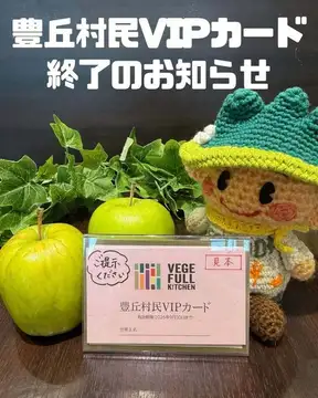 【豊丘村村民VIPカ