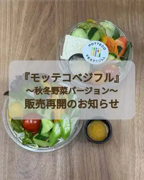 【モッテコベジフル販