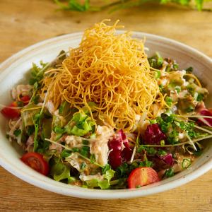 Crispy plate udon salad