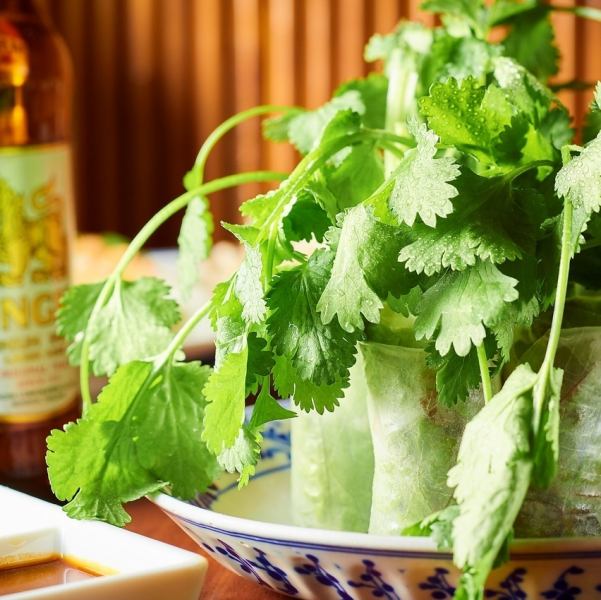 메가 팩치 원춘 권