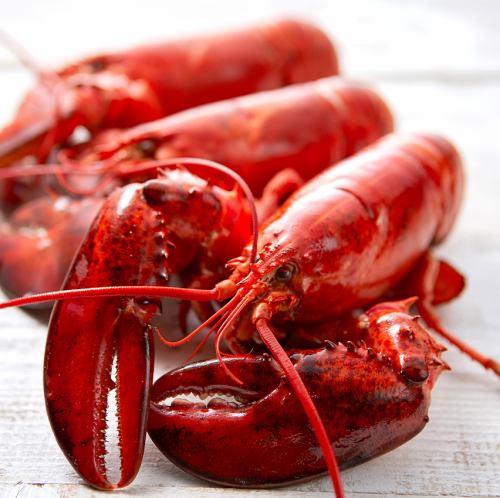 鮮度にこだわり！ロブスタータンクで徹底品質管理