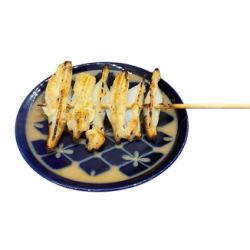 야겐 연골