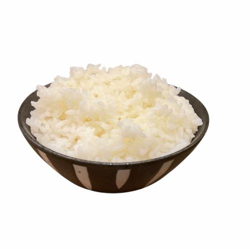 白ごはん