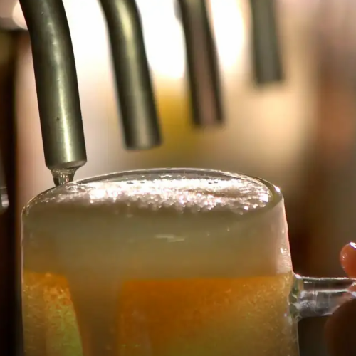 飲み放題が90分880円！