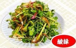 [Spicy and sour] Cool and spicy pea sprouts (dressed with coriander and pea sprouts)