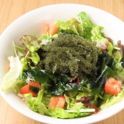 Churaumi Sea Salad with Sea Grapes